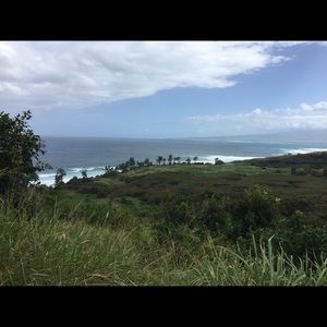 Meet your Posher, Shelby